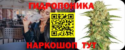 бошки Дубна