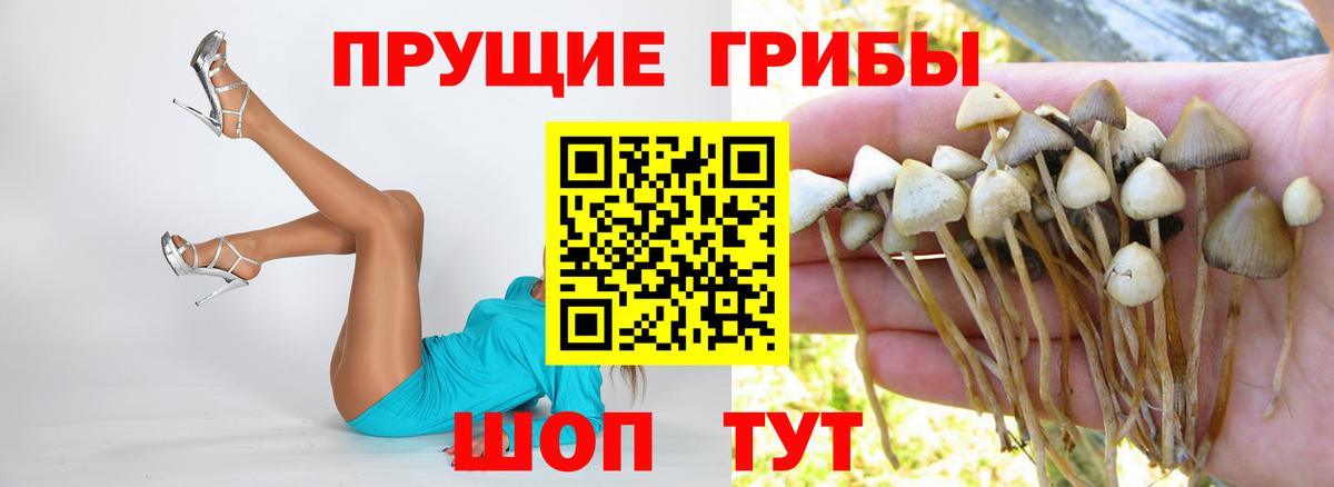 Псилоцибиновые грибы ЛСД  Галлюциногенные грибы Cubensis  Вход с VPN  где найти наркотики  Нарткала 